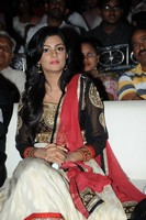 Anisha Photo Gallery